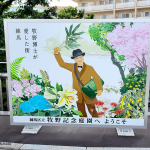 牧野博士の真っすぐな植物愛。東京・練馬「練馬区立牧野記念庭園」